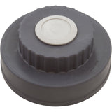 Lid Assembly, Waterco Chlorinator, w/O-Ring : WC64102