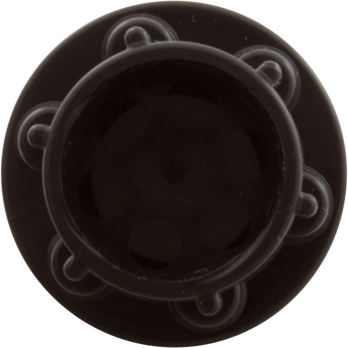 Check Valve, Aquastar ChemStar CH100 : CH1010