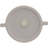 Check Valve Assembly, CMP PowerClean Mini Chlorinator : 25280-000-920