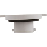 Check Valve Assembly, CMP PowerClean Mini Chlorinator : 25280-000-920