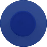 Spa Disinfector Bottom Load Blue       Rainbow 335 : 27052-019-000