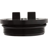 Plug-2" W/ O-Ring : 195830