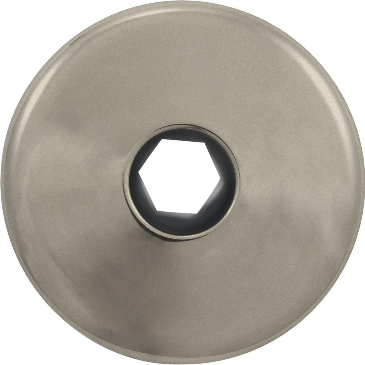 Ozone Wallfitting 1" Dia. Thread : 215-9860-BN
