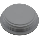 1.5In Npt Plug W/O-Ring Gray : 25543-001-000