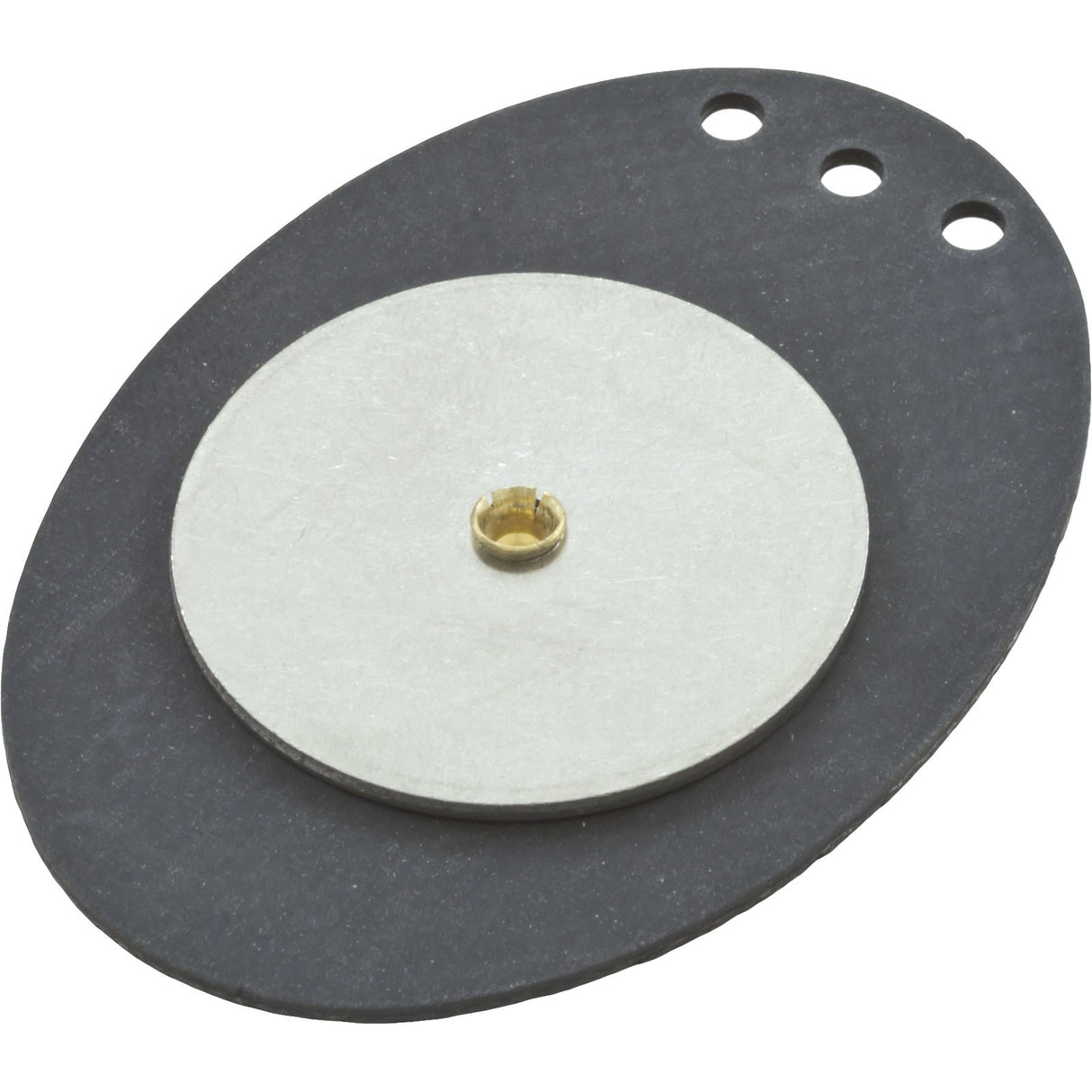 Diaphragm 2"Vlv Chk Wt : 272032