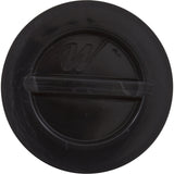 Flush Plug 1 1/2" W/Gasket- Black : 400-4141