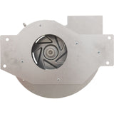 Combustion Blower, 110V : IDXLBWR1931