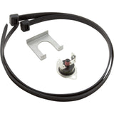 Jandy Pro Series Switch, Hi-Limit, 180 Degree : R0461600