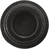 Drain Plug Assembly, Waterway Clearwater : 500-5300