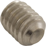 Set Screw, Anthony Apollo DE Filter, Rear End Bell, Generic : V34-123