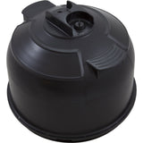 Tank Lid, Pentair Sta-Rite System 2 PLM100/125/150/175/200 : 27001-0020S