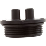 Drain Plug, Pentair Sta-Rite System 3, 1-1/2", with O-Ring : 27001-0022