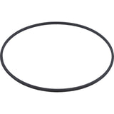 Tank Lid, Hayward C3020/C3025/DE3620, with Clamp Ring : DEX3620BTC