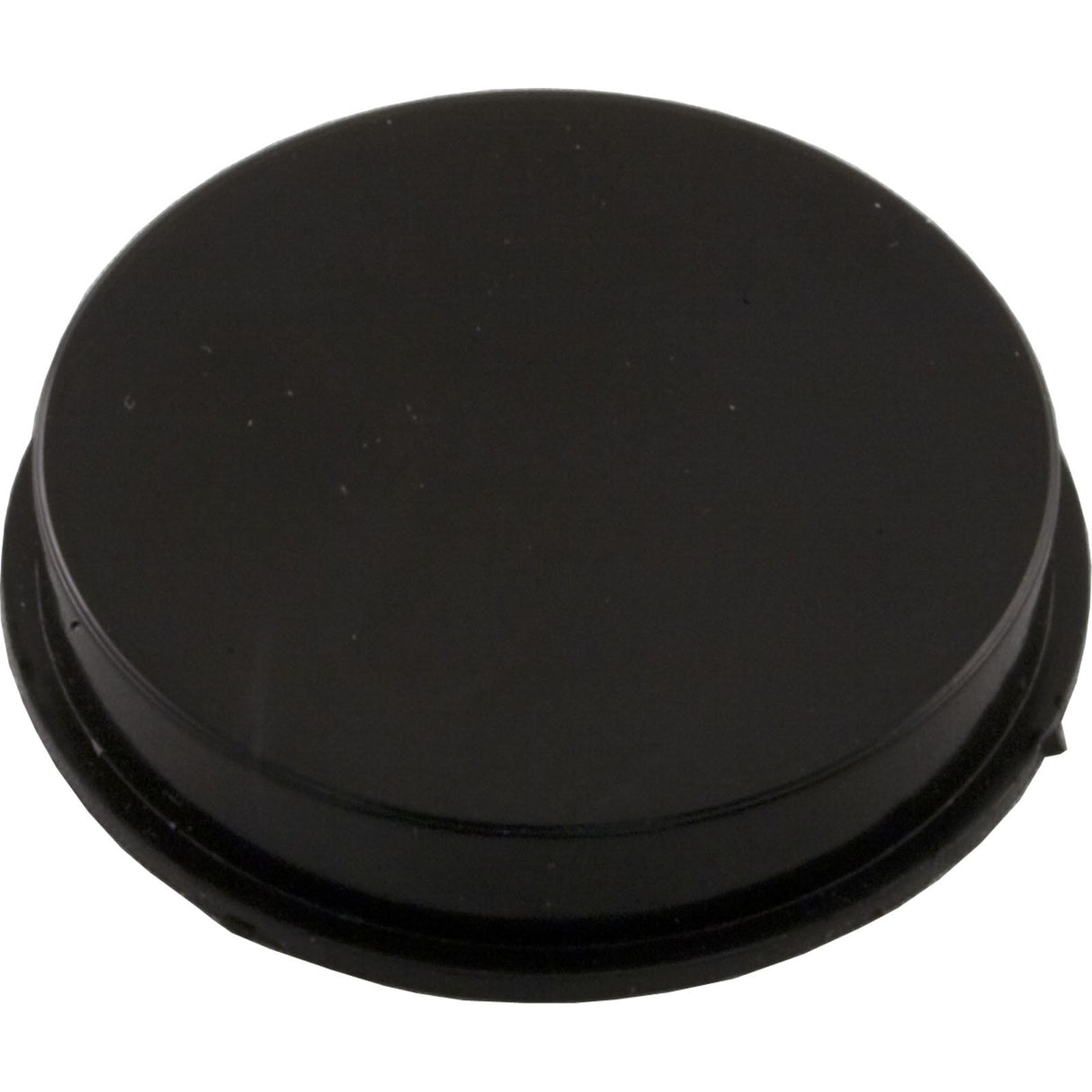Bypass Plug, Pentair Rainbow RDC/RTL, 1-1/2" : R172225X