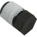 Plug, Pentair Rainbow High Sqft/Auto Feeder, 1/4"mpt : R172007