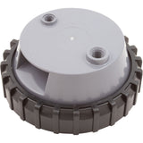 Cover Kit, Raypak Protege RPCFP, w/ O-Ring : 018245F