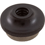 Strainer, PentairTriton II/C-3/TR100C/140C/40, Air Tube, 11/99+ : 150035