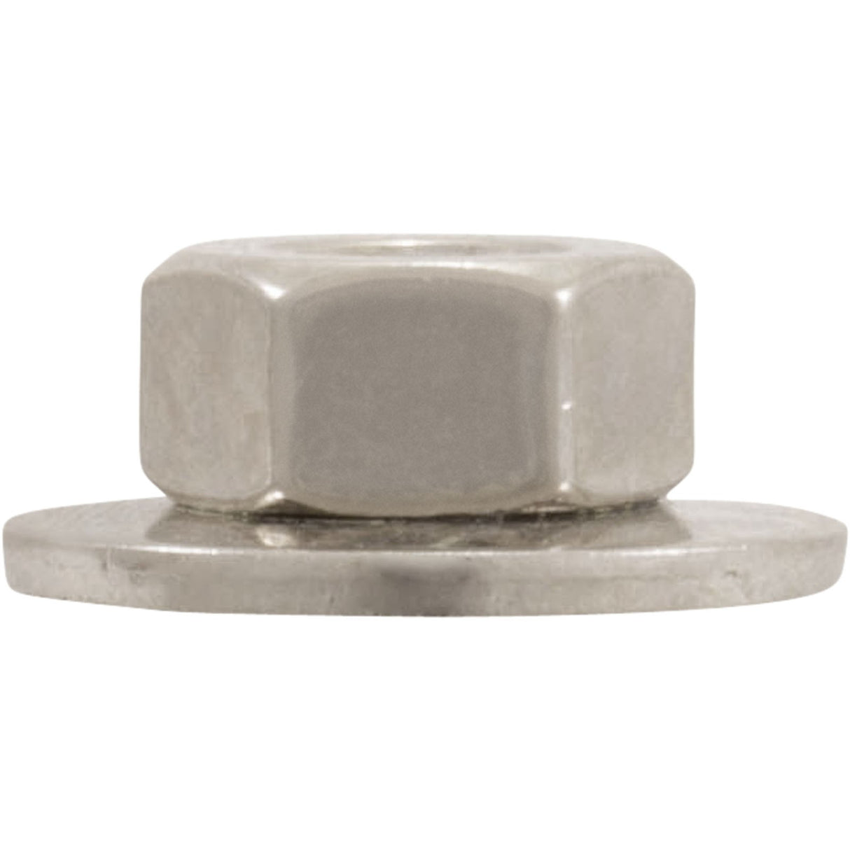 Hex Nut, Hayward S240, with Washer : ECX1645