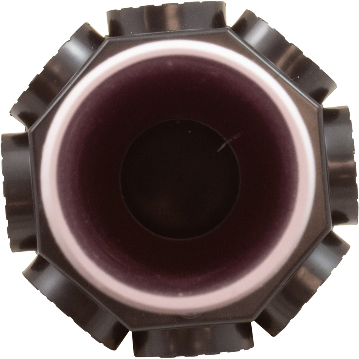 Standpipe Assembly, Raypak Protege RPSF28 : 018221F