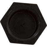 Drain Cap, Astral, Persius 1800 Series, Top 16"/20"/24" : 32814R0001