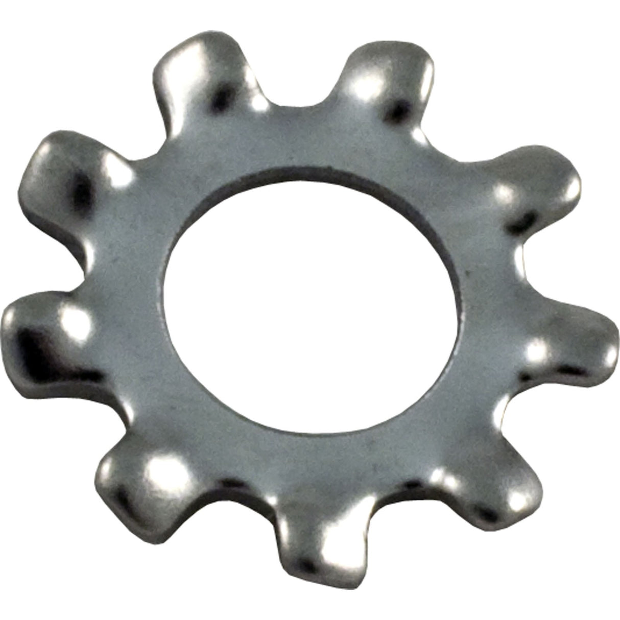 Lock Washer, Pentair Sta-Rite, Number 8 : U43-21SS