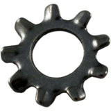 Lock Washer, Pentair Sta-Rite LT, Number 10 : U43-22SS