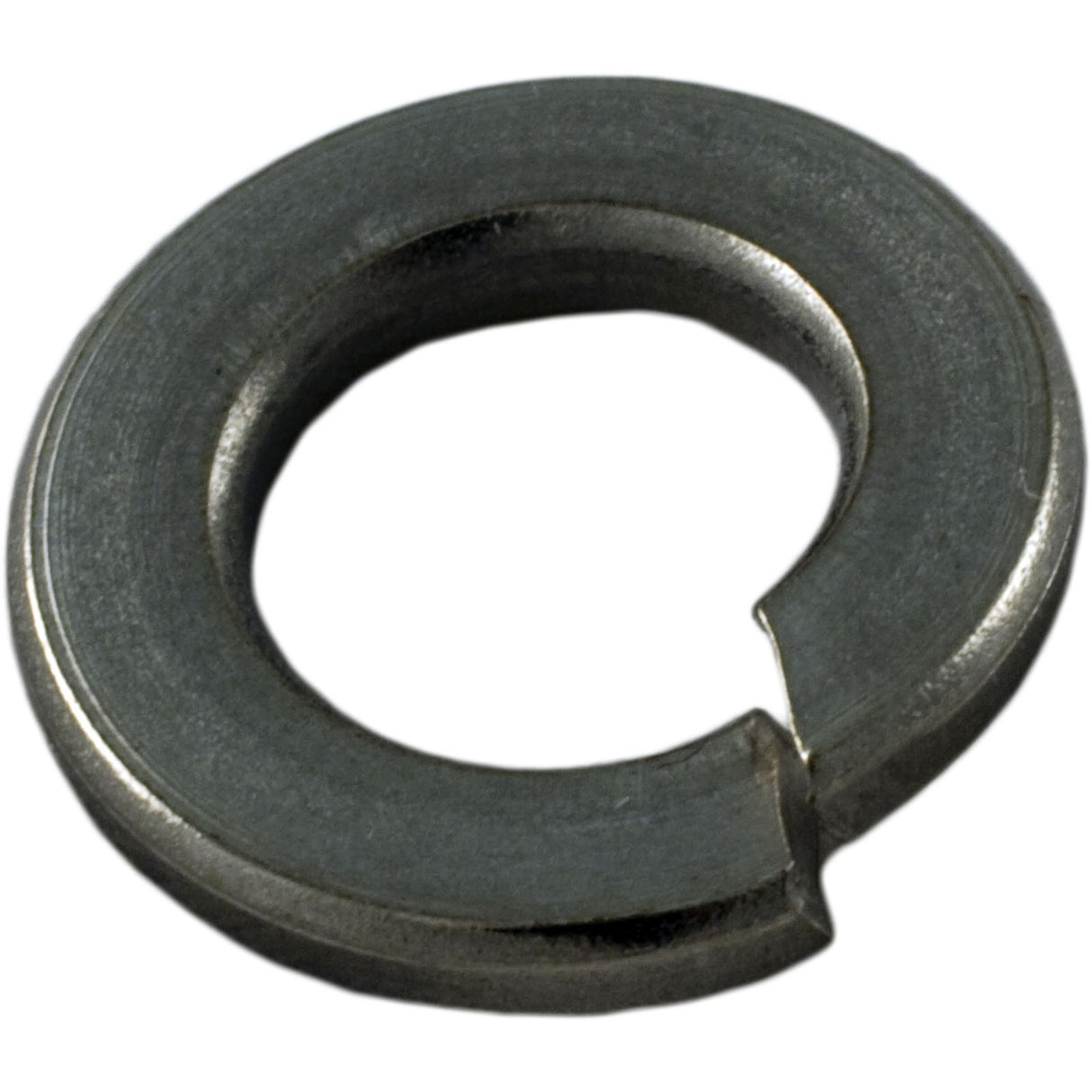 Lock Washer, Pentair Sta-Rite, 5/16" : U43-11SS