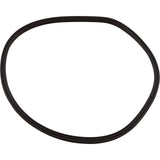 T-Ring, Hayward Northstar SP4000/4000X, Trap Body, pre-2008 : SPX4000TS