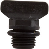 Drain Plug, Raypak Protege RPVSP1, With O-Ring : 018231F