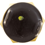 Gas Shutoff Switch, Pentair Max-E-Therm/MasterTemp : 42002-0025S