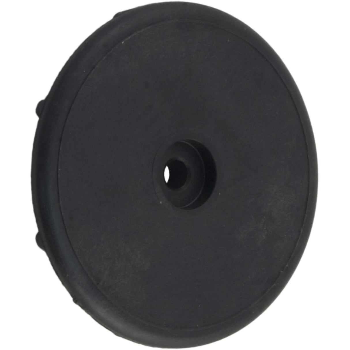 Control Panel Cover Retainer Cap, Pentair Max-E-Therm : 77707-0009