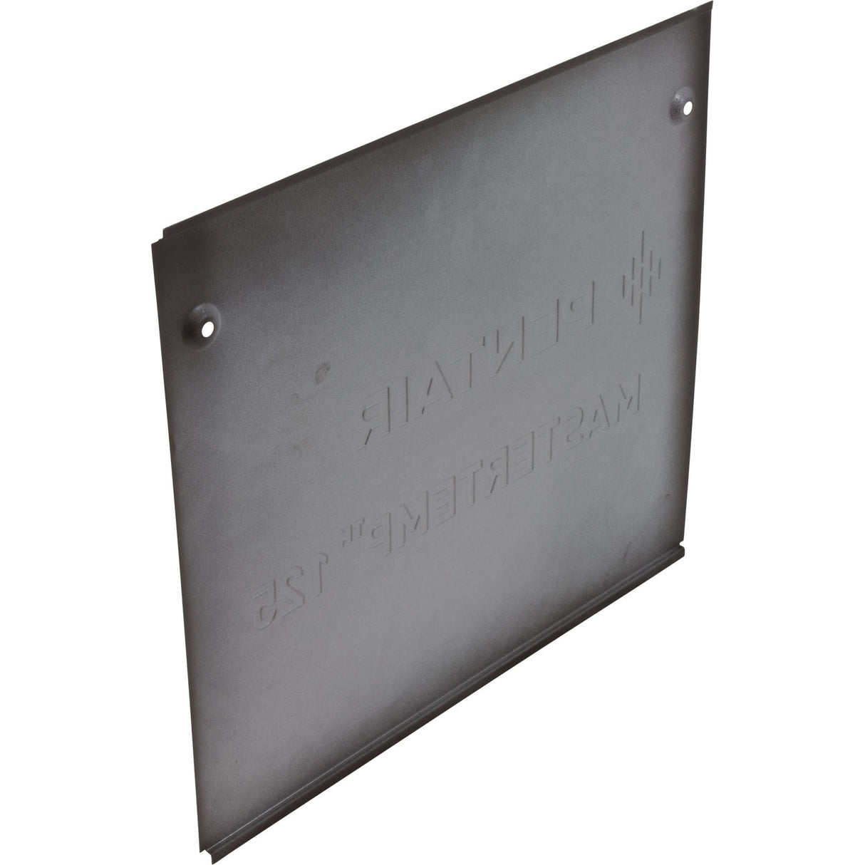 Side Panel, Pentair MasterTemp 125, Service Panel : 474991