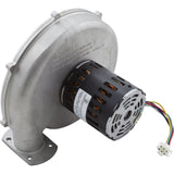 Blower Kit, Pentair MasterTemp 250, Nat. : 460743