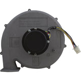 Blower Kit, Pentair MasterTemp 300, Nat. : 460757