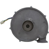 Blower Kit, Pentair MasterTemp 300, Nat. : 460757