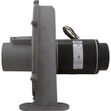 Blower Kit, Pentair MasterTemp 300, Nat. : 460757