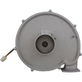 Blower Kit, Pentair MasterTemp 175/200/Max-E-Therm 200, Nat. : 77707-0251