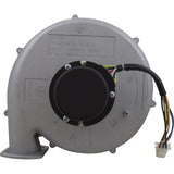 Blower Kit, Pentair MasterTemp 175/200/Max-E-Therm 200, Nat. : 77707-0251