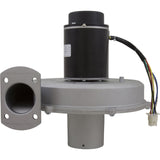 Blower Kit, Pentair MasterTemp 175/200/Max-E-Therm 200, Nat. : 77707-0251