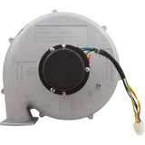 Blower Kit, Pentair Max-E-Therm 333, LP : 77707-0255