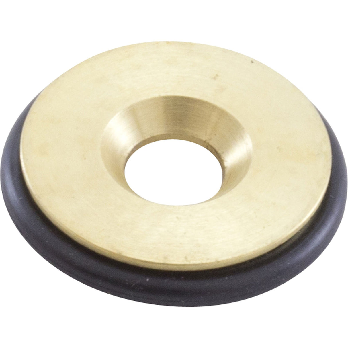Orifice, Pentair MasterTemp 250, Nat. : 460739