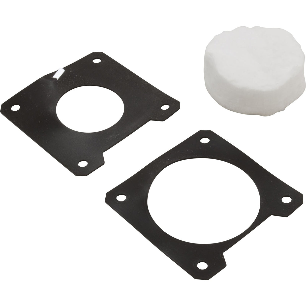 Flameholder Kit, Pentair MasterTemp 250 : 460746