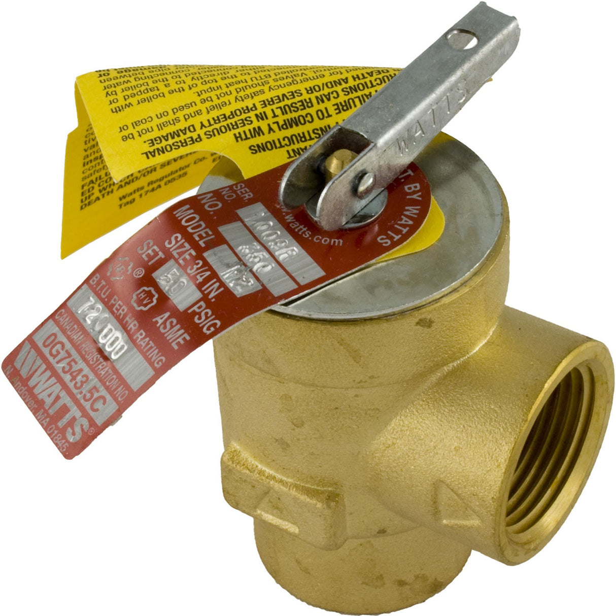 Relief Valve, Pentair Minimax Plus/PowerMax, 3/4" : 072138