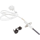 Igniter, Hayward Universal : FDXLIGN1930