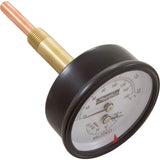 Temperature and Pressure Gauge, Raypak Heaters, 1/2", Bottom : 007205F