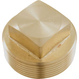 Unitherm Governor Plug, Raypak 206A/266A/336A/406A : 013738F