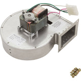 Blower, Raypak R185A/R185B : 008080F
