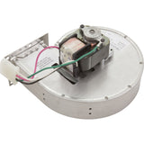 Blower, Raypak R185A/R185B : 008080F
