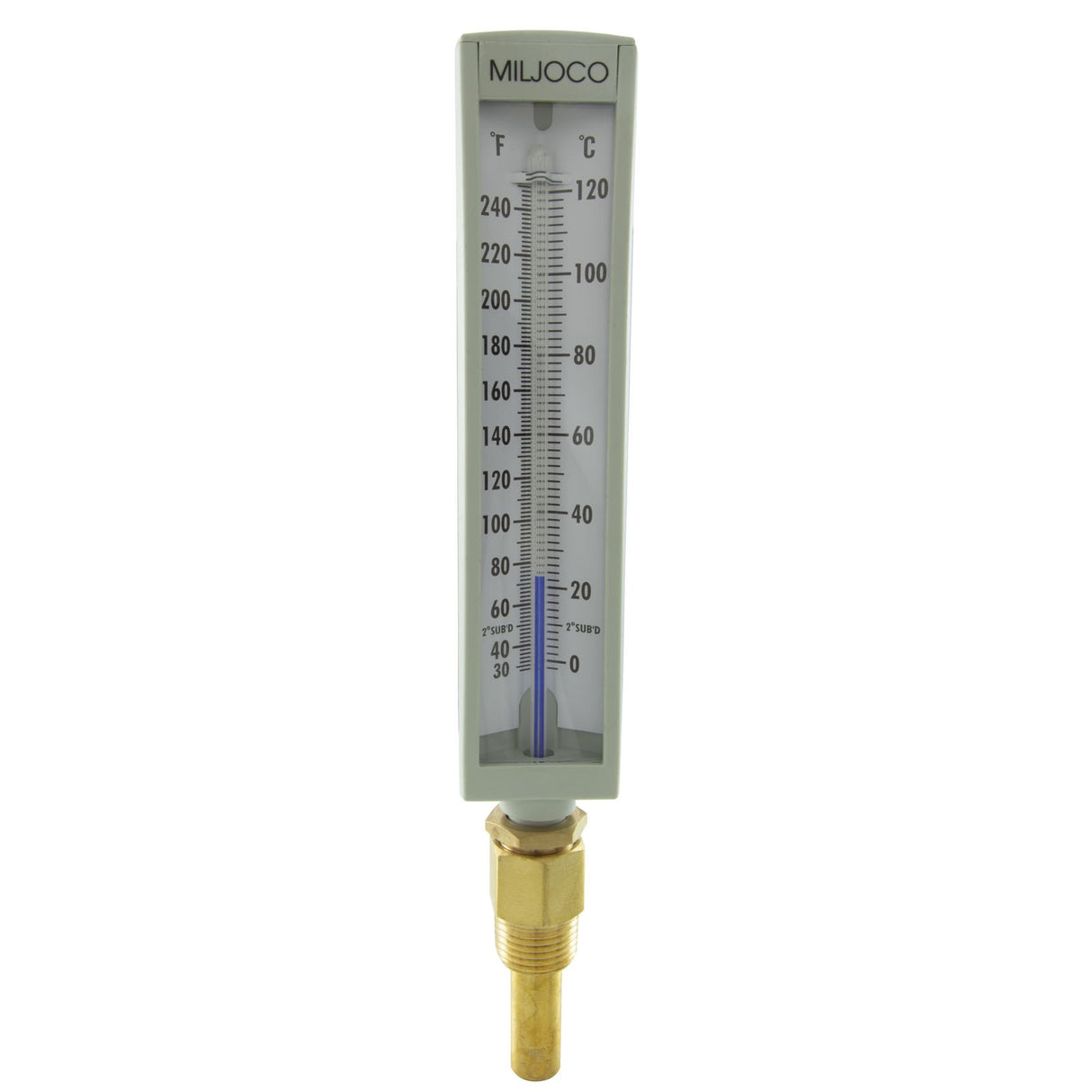 Thermometer, Raypak, Brass, Straight : 000919