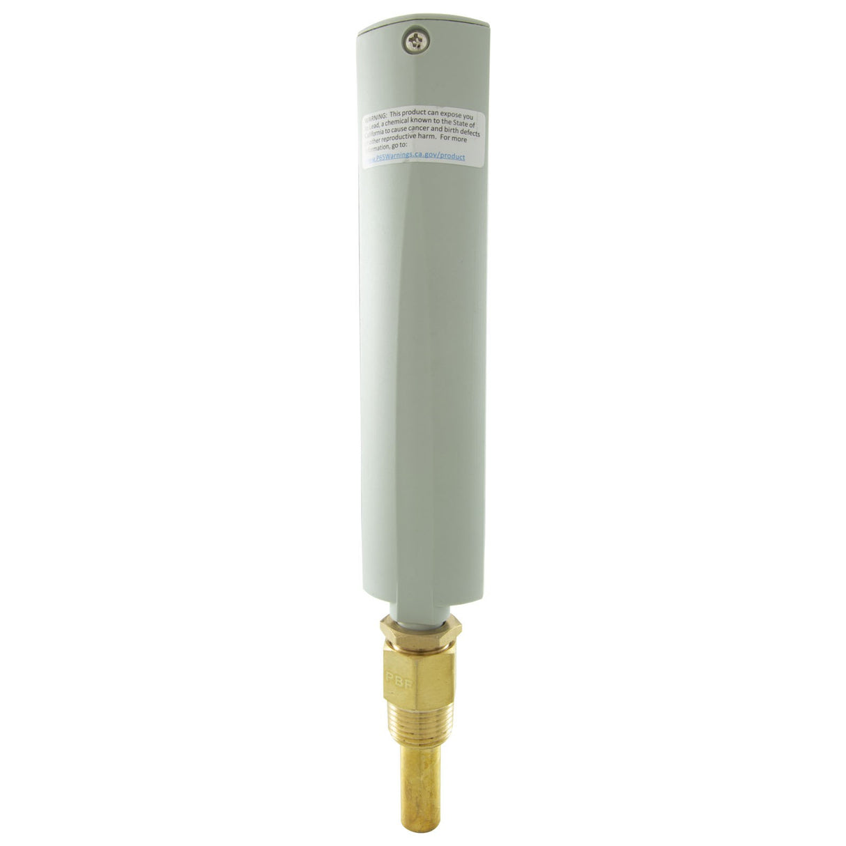 Thermometer, Raypak, Brass, Straight : 000919